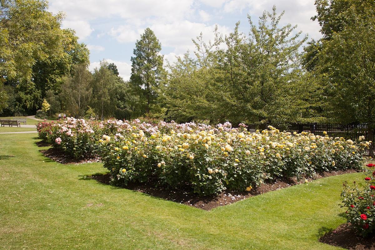 Regent's Park in Marylebone, London